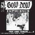 Prof. James Benson - The Gow-Dow Experience (New CD)
