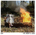Pup - Dream Is Over (Clear w/ Red & Orange Swirl Vinyl) (New Vinyl)