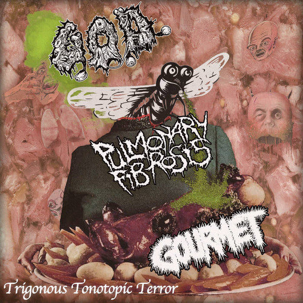 G.O.D.  / Gourmet  / Pulmonary Fibrosis – Trigonous Tonotopic Terror (New CD)