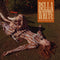 Bella White - Among Other Things (Carnelian Brown & Red Swirl Vinyl) (New Vinyl)