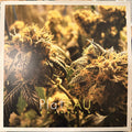 Plateau - Kushbush (New Vinyl)