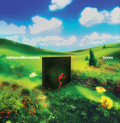 Rainbow Kitten Surprise - Bones (New CD)
