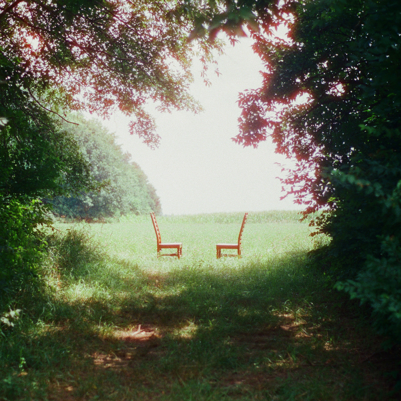 Ratboys - Singin' To An Empty Chair (Indie Excl. Green Vinyl Signed) (New Vinyl)