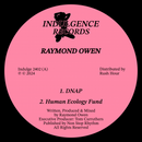 Raymond Owen - Detachment EP (12") (New Vinyl)