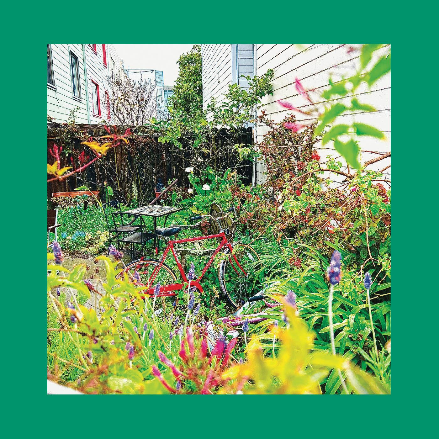 Reds, Pinks & Purples - Unwishing Well (Orange Vinyl) (New Vinyl)
