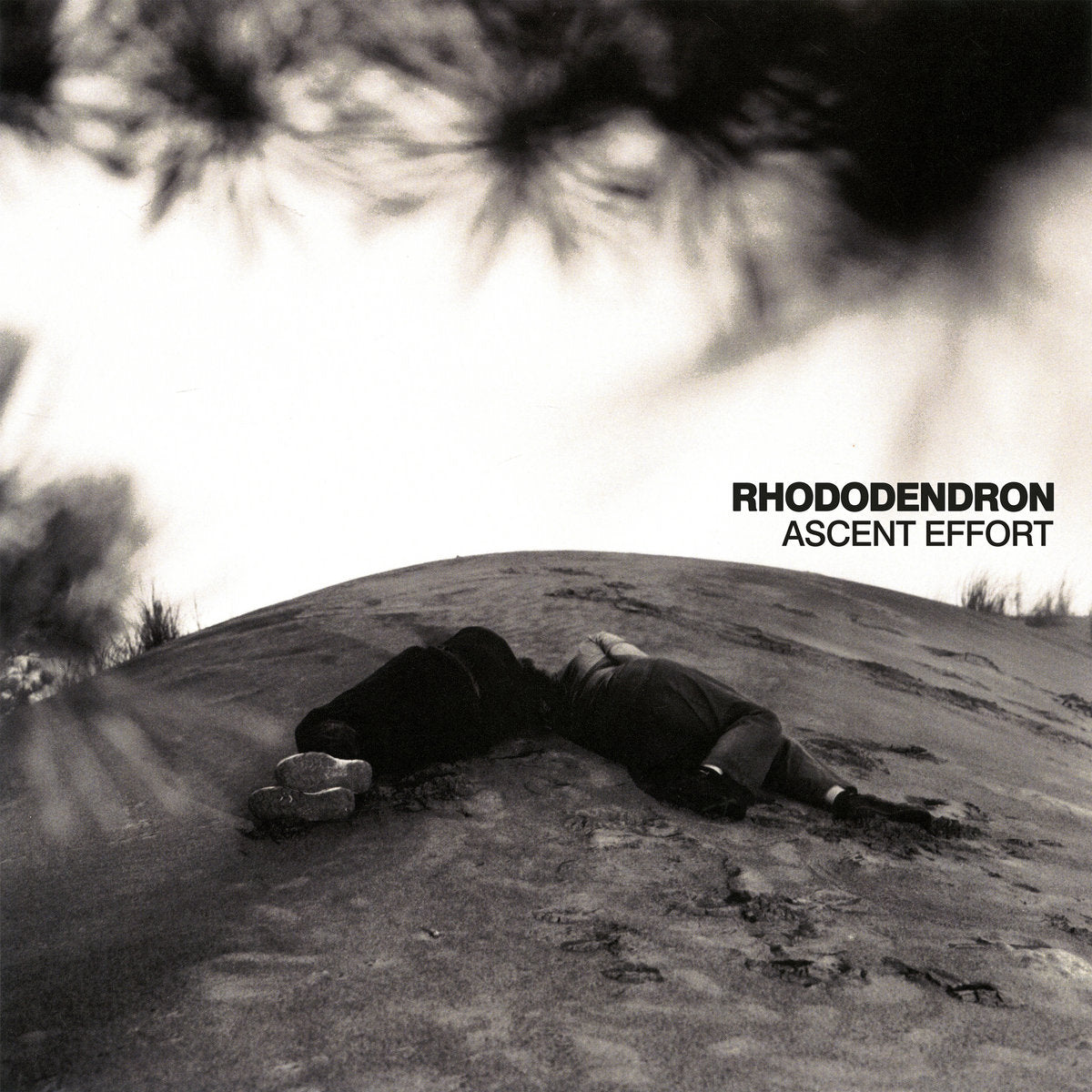 Rhododendron - Ascent Effort (New CD)