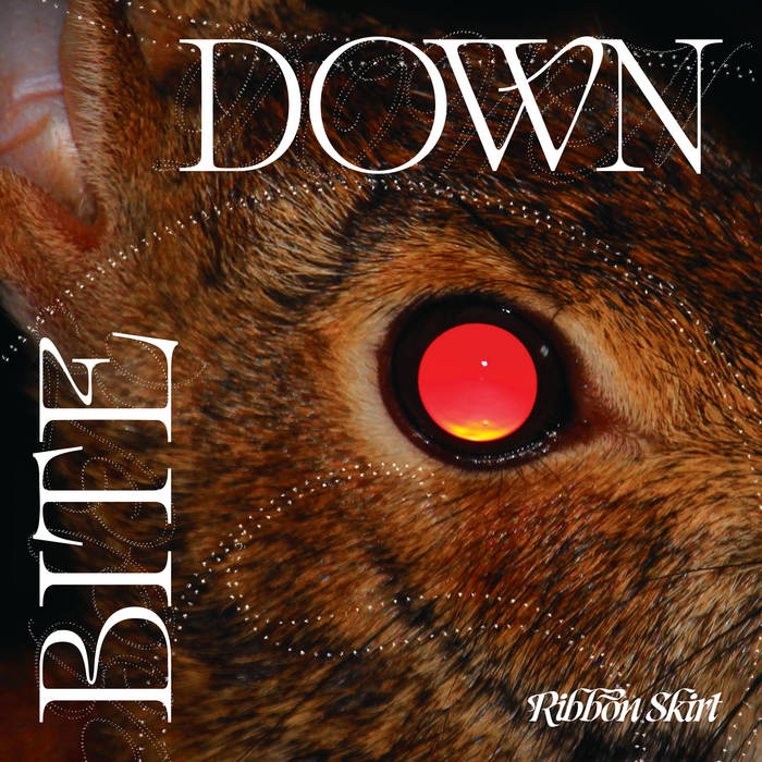 Ribbon Skirt - Bite Down (New Vinyl)