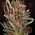 Rudi J - I Guess I'm Not In Tune Afterall (New Vinyl)