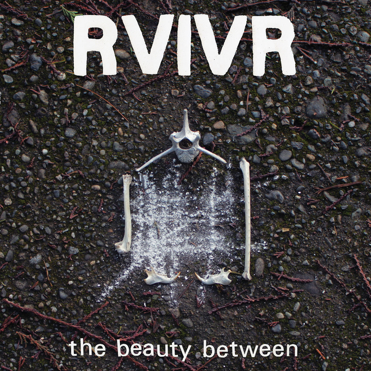 Rvivr - The Beauty Between (Black/Clear Vinyl) (New Vinyl)