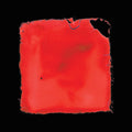 Salvia Palth - Last Chance to See (New Vinyl)