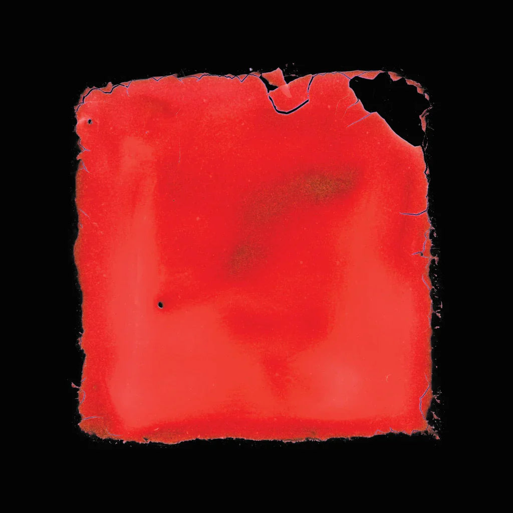 Salvia Palth - Last Chance to See (New Vinyl)