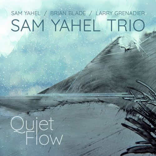 Sam Yahel - Quiet Flow (New CD)