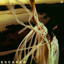 Sarah Kinsley - Escaper (New CD)