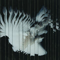 Scaler - Endlessly (New Vinyl)