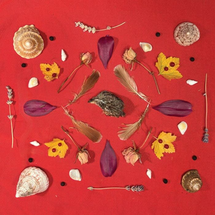 Secret Family - Grouse Head Talisman (New CD)