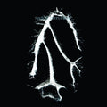 Seefeel - Everything Squared (New CD)