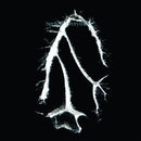 Seefeel - Everything Squared (New CD)