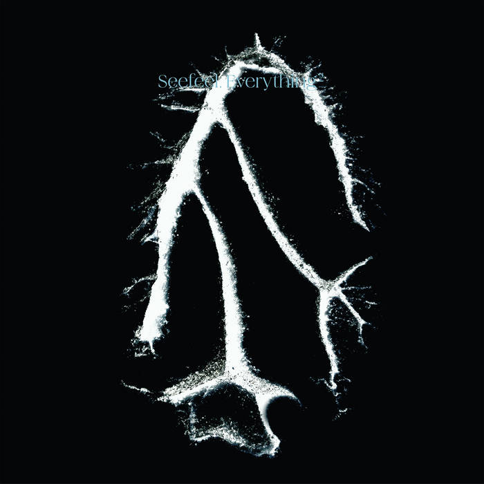 Seefeel - Everything Squared (New CD)