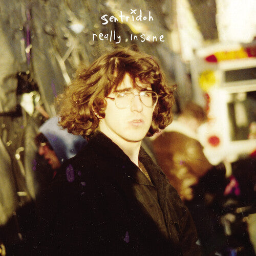Sentridoh - Really Insane: A Lou Barlow Compendium (New Vinyl)