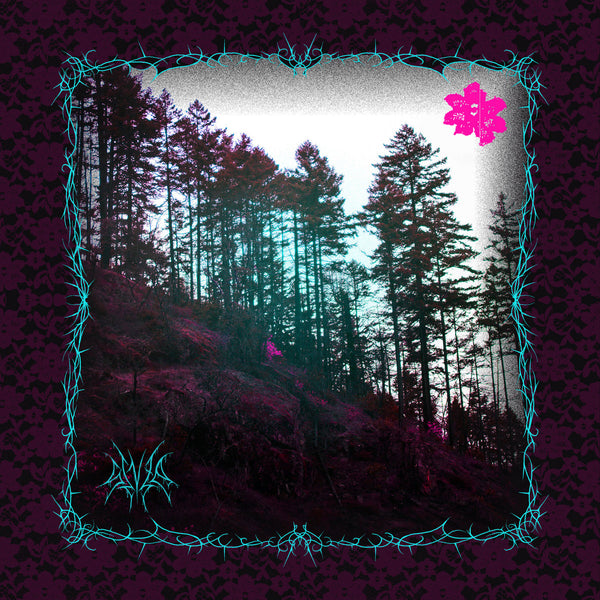 Senza - Celestial Body (New Vinyl)