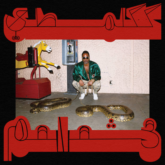 Shabazz Palaces - Robed In Rareness (LOSER Edition) (New Vinyl)