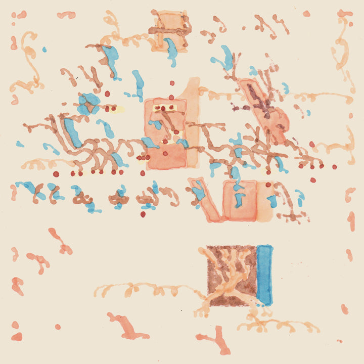 Shakali - Toinen Luonto (New Vinyl)