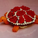 Sharp Pins - Turtle Rock (New Vinyl)