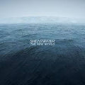 Shearwater - The New World (New Vinyl)