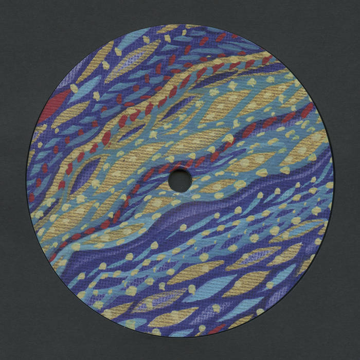 Shed - Applications (12") (New Vinyl)