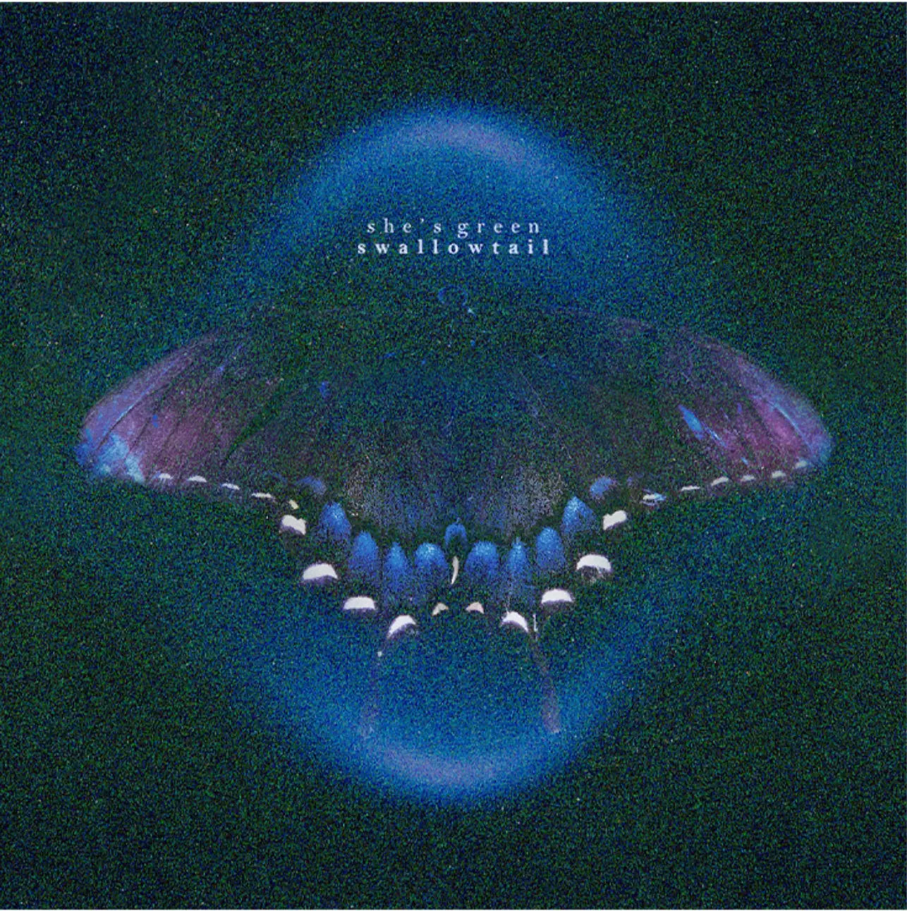 She's Green - Swallowtail/Chrysalis (Indie Exclusive Iridescent White Vinyl) (New Vinyl)