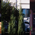 Shinichi Atobe - Silent Way (2LP) (Yellow/Pink Vinyl) (New Vinyl)