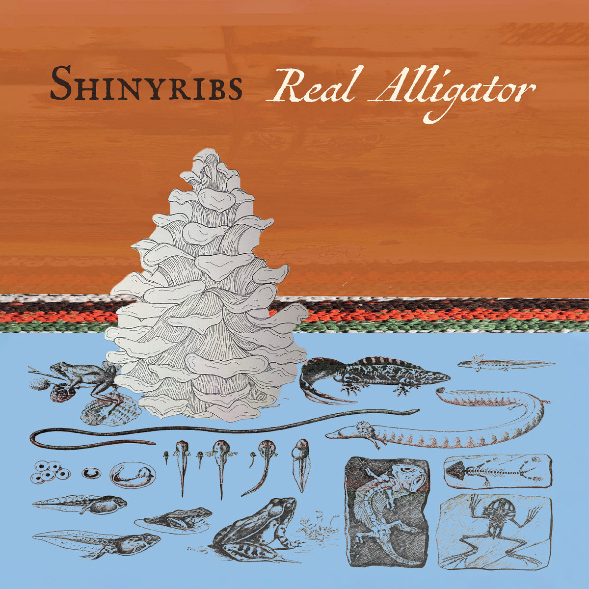 Shinyribs - Real Alligator (New Vinyl)