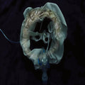 Ship Sket - Initiatrix (New Vinyl)