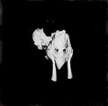 Sigur Ros - Kveikur (2LP 180g) (New Vinyl)