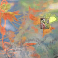 Simo Cell & Abdullah Miniawy - Dying Is The Internet (New Vinyl)