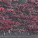 Sleep Token - Even In Arcadia (New CD)