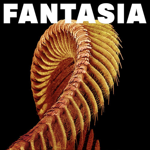 Slift - Fantasia (2LP) (Loser Edition Yellow Vinyl) (New Vinyl)