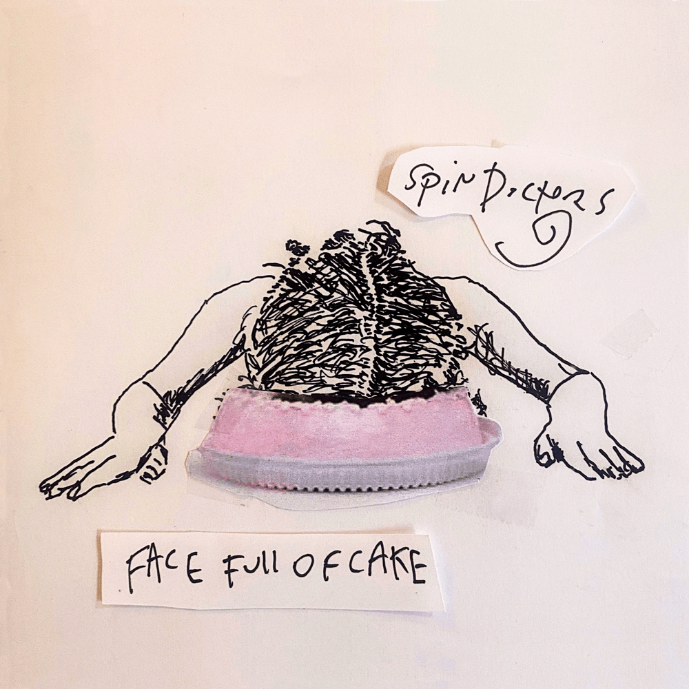 Spin Doctors - Face Full Of Cake (New CD)