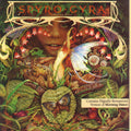 Spyro Gyra - Morning Dance (New CD)