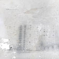 Squrl - Silver Haze (New Vinyl)