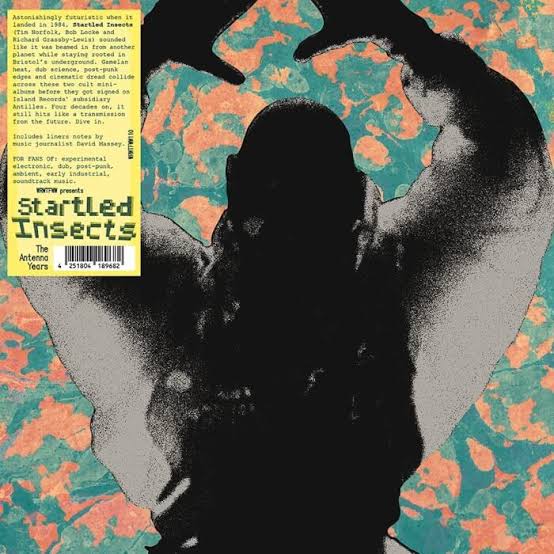 Startled Insects - The Antenna Years (New Vinyl)