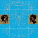 Steffi x Virginia - Patterns of Vibration (New Vinyl)