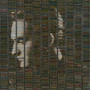 Stephan Eicher - Poussiere D'or (New CD)