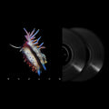 Sub Focus - Evolve (New CD)