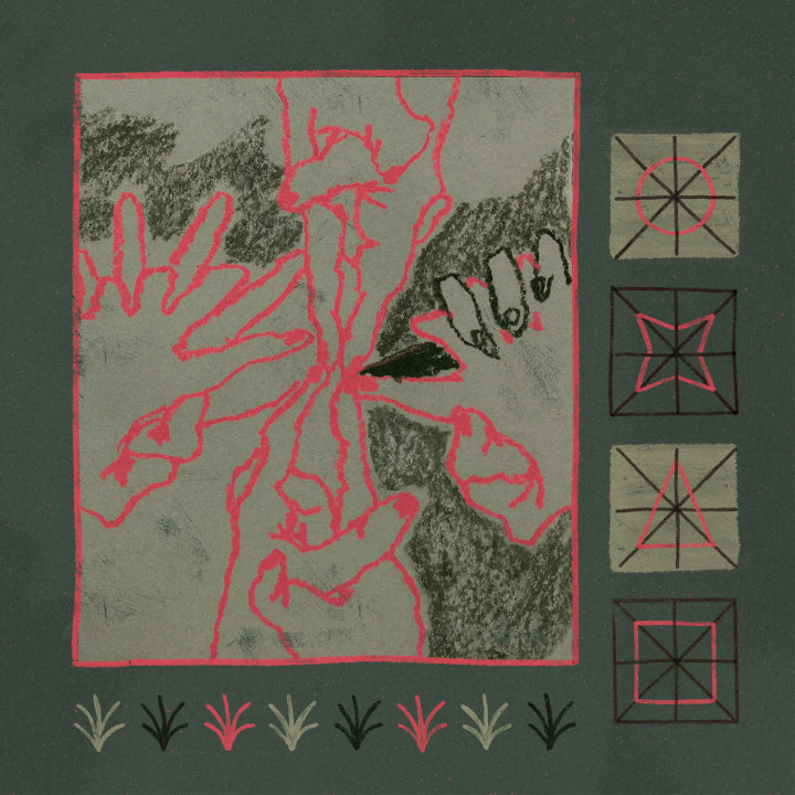 Suitor - Saw You Out With The Weeds (New Vinyl)