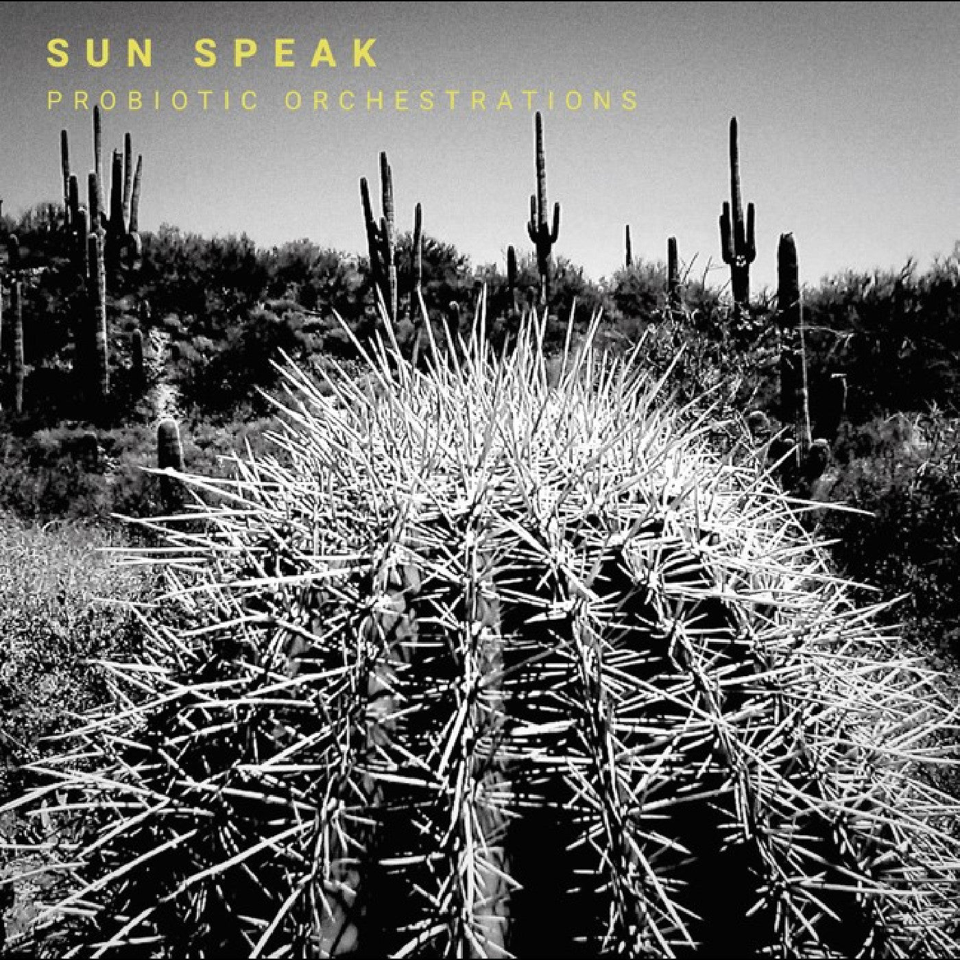 Sun Speak - Probiotic Orchestrations (New CD)