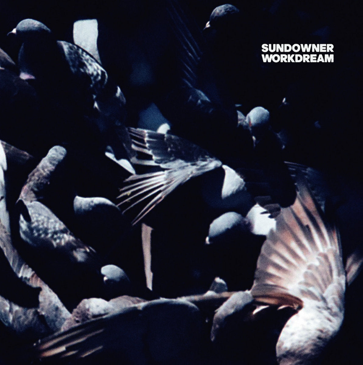 Sundowner - Workdream (New Vinyl)