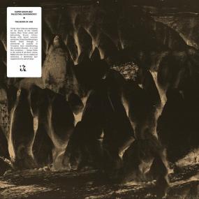 Super Grupa Bez Falszywej Skromnosci - The Book Of Job (New Vinyl)