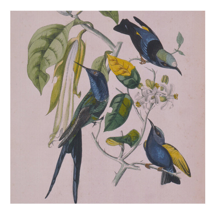 Susumu Yokota - Sakura (New CD)