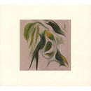 Susumu Yokota - Sakura (Skintone Edition) (New CD)